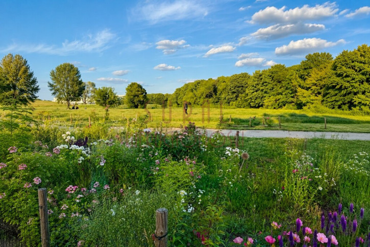 Mieszkanie Sprzedaż Warszawa Mokotów Eko-Park&nbsp;/ Chodkiewicza / przy Polu Mokotowskim / duży balkon 12